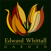Edward Whittall Garden